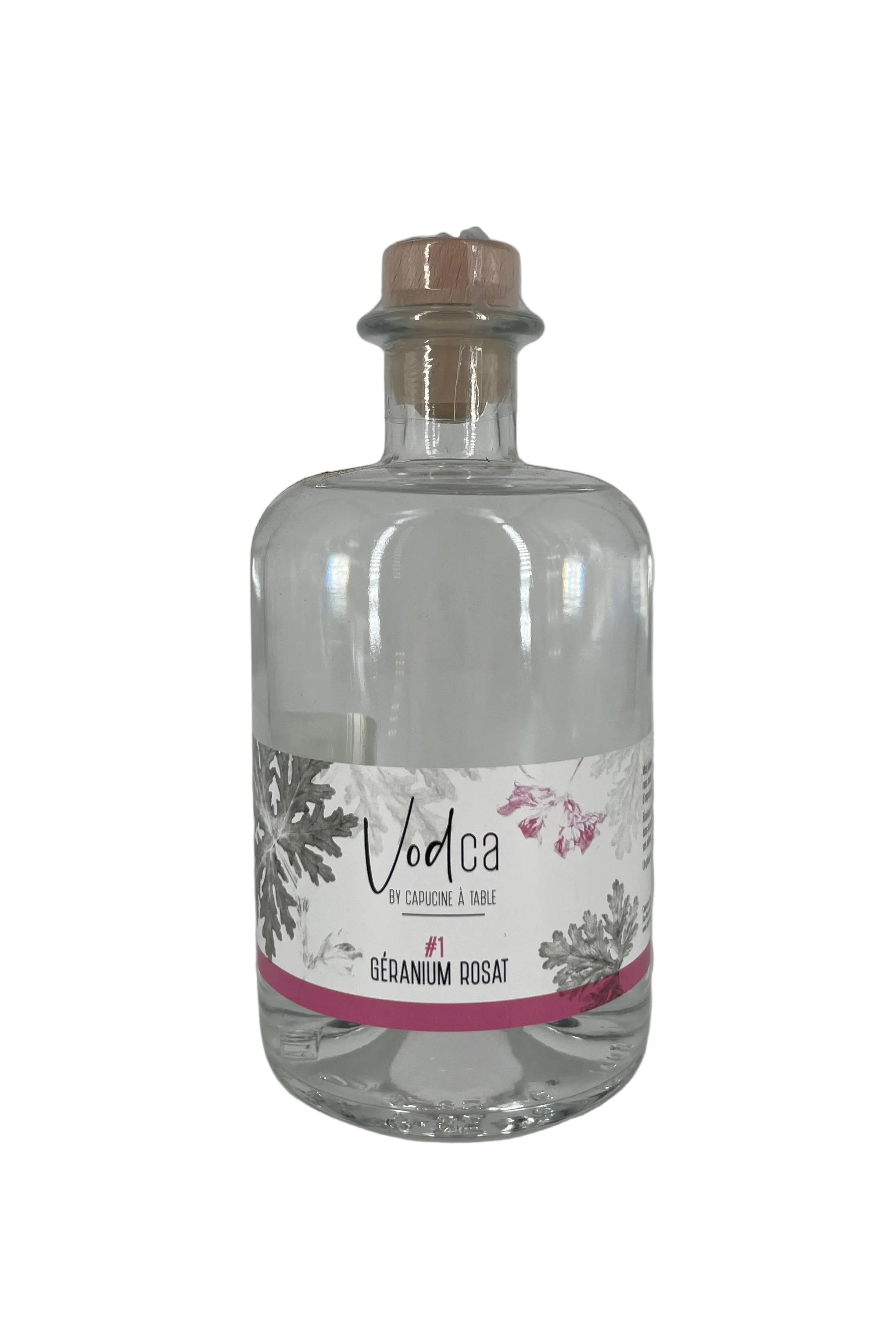 VodCa rose